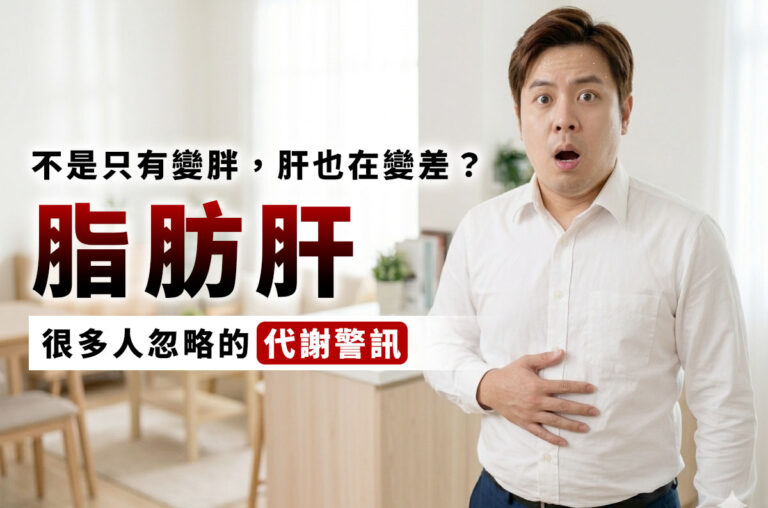 不是只有變胖，肝也在變差？脂肪肝，其實是很多人忽略的「代謝警訊」